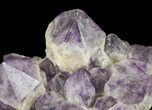 Amethyst Cluster ( lbs) - Massive Points #65149-4